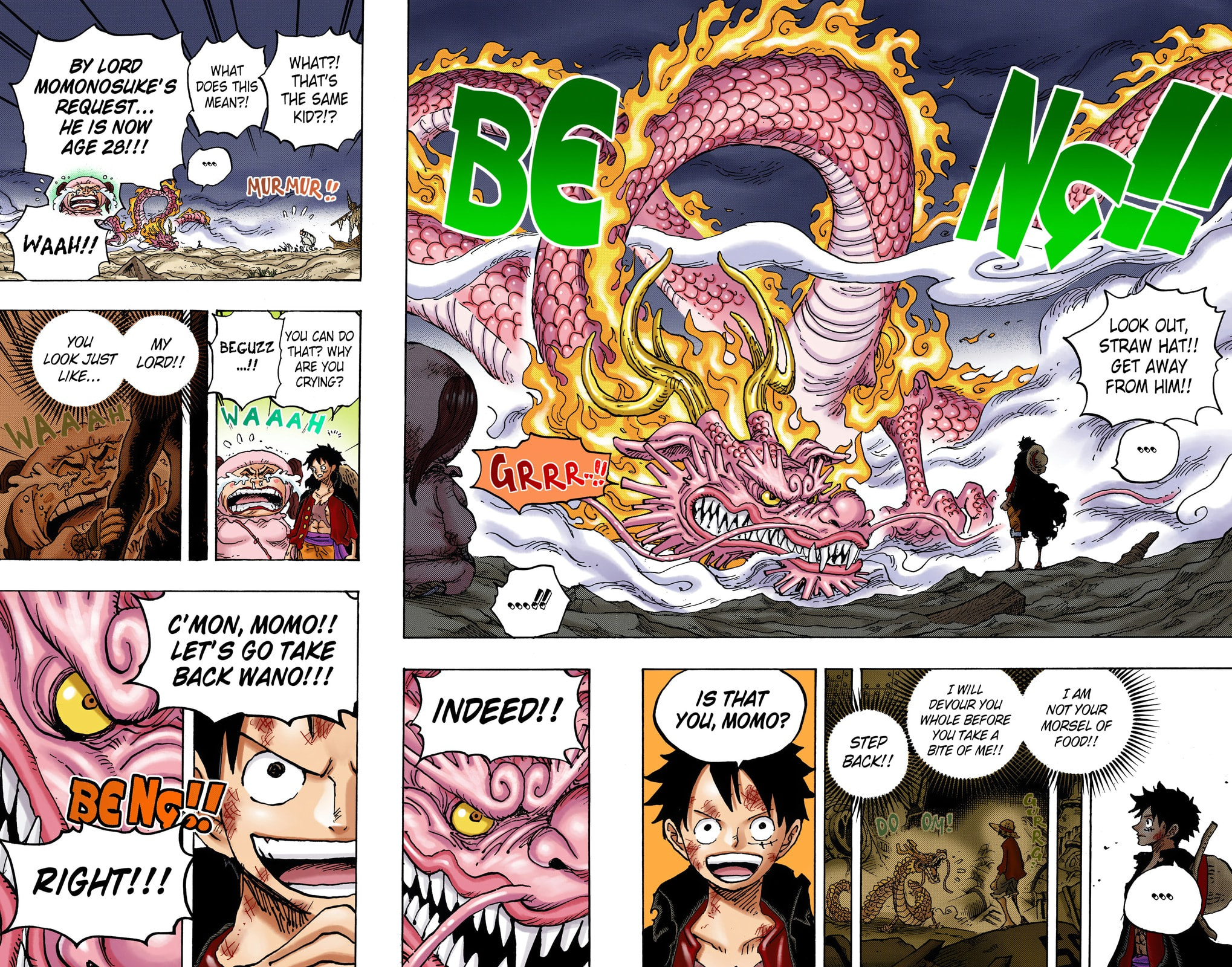 One Piece Digital Colored Chapter 1023 image 16